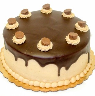 Chocolate Peanut Butter Dessert Cake