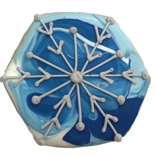 Snowflake On Marbled Hexagon
